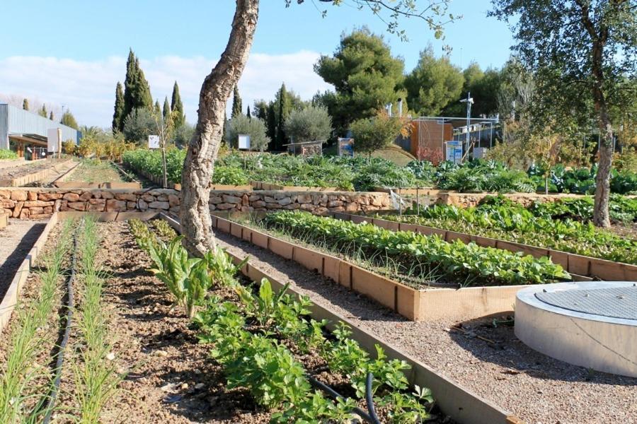 Centro De Agroecologia Y Medio Ambiente De Murcia Bullas Zewnętrze zdjęcie