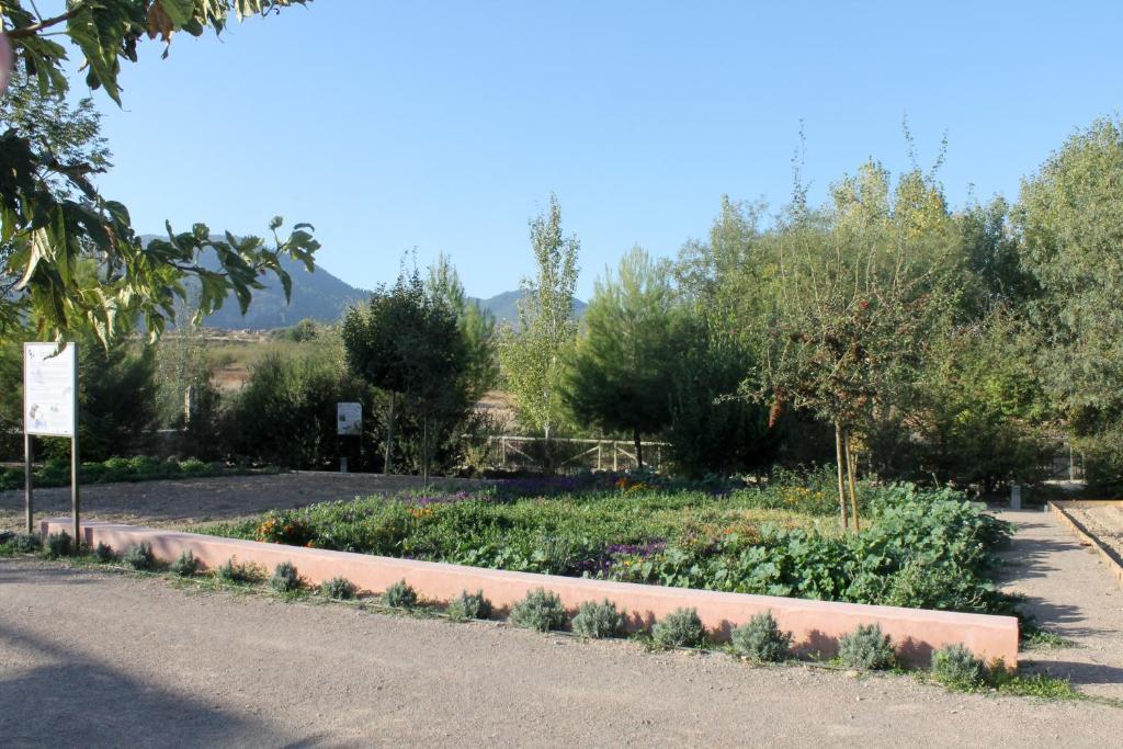 Centro De Agroecologia Y Medio Ambiente De Murcia Bullas Pokój zdjęcie