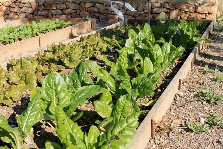 Centro De Agroecologia Y Medio Ambiente De Murcia Bullas Zewnętrze zdjęcie