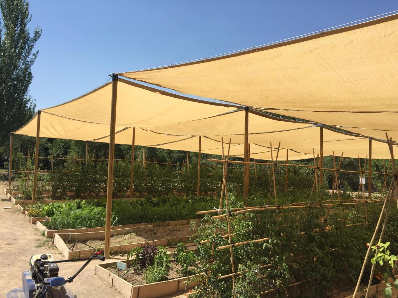 Centro De Agroecologia Y Medio Ambiente De Murcia Bullas Zewnętrze zdjęcie
