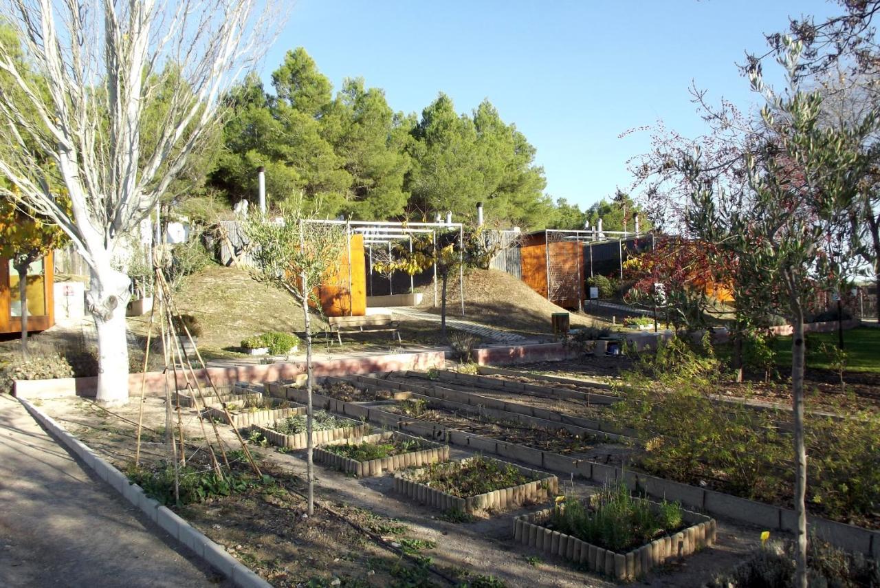 Centro De Agroecologia Y Medio Ambiente De Murcia Bullas Zewnętrze zdjęcie