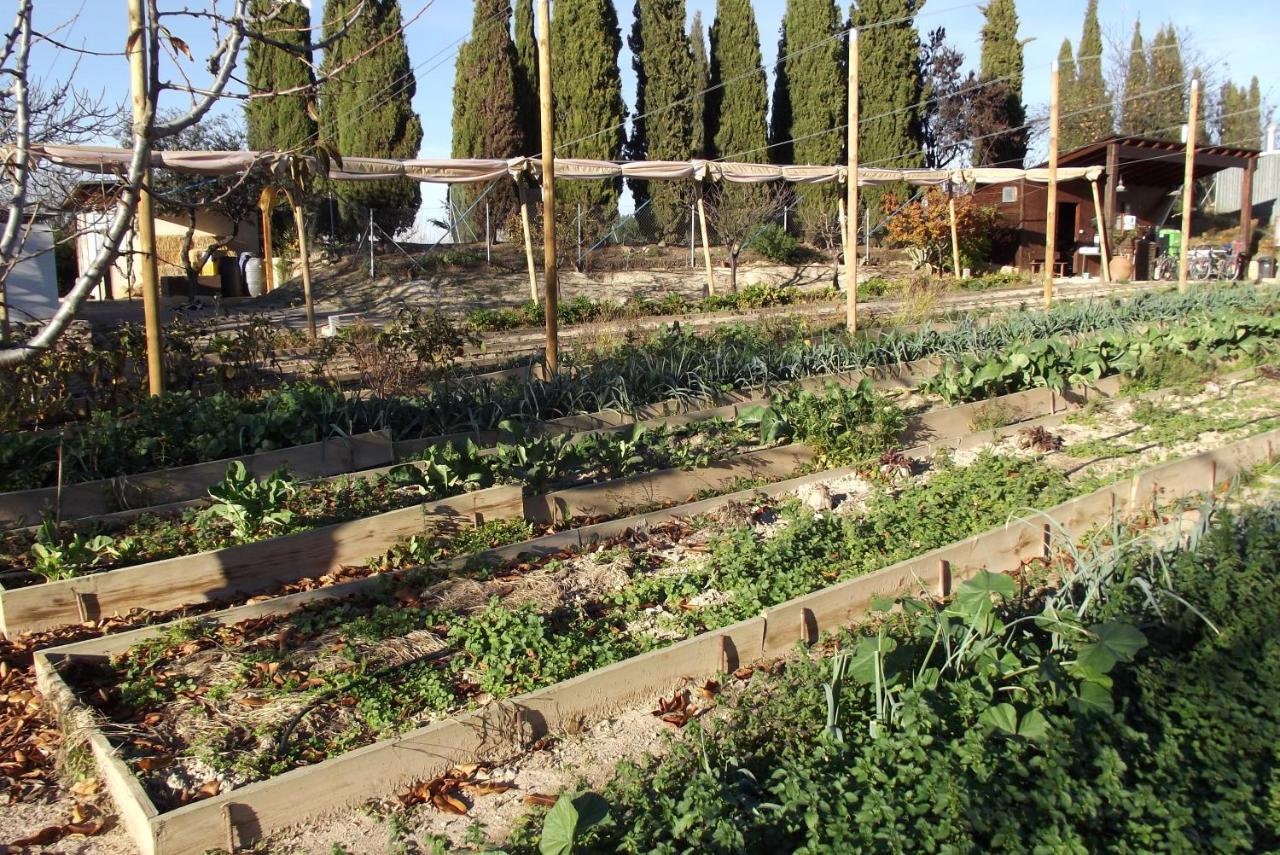 Centro De Agroecologia Y Medio Ambiente De Murcia Bullas Zewnętrze zdjęcie